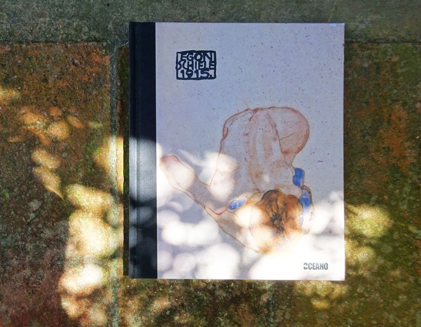 Dibujos eróticos de Schiele