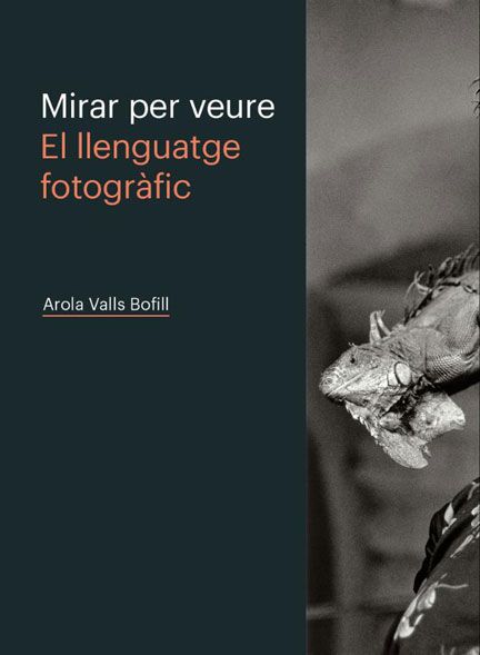Mirar per veure